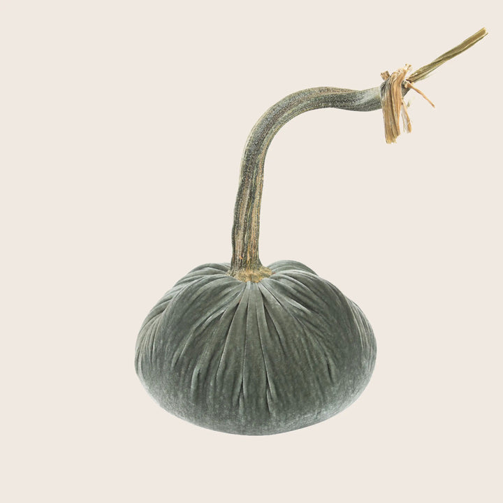 Image for Silk Velvet Pumpkin