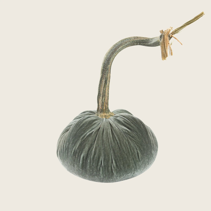 Silk Velvet Pumpkin