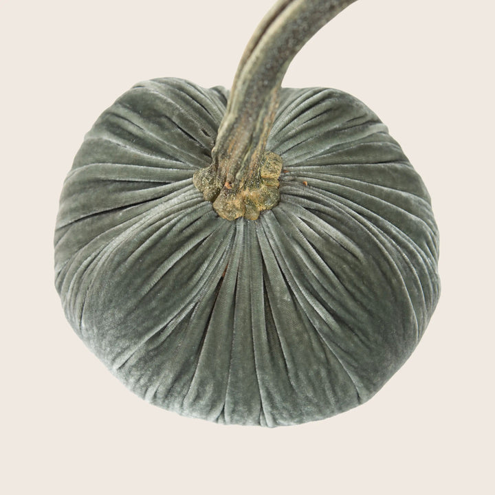 Image for Silk Velvet Pumpkin