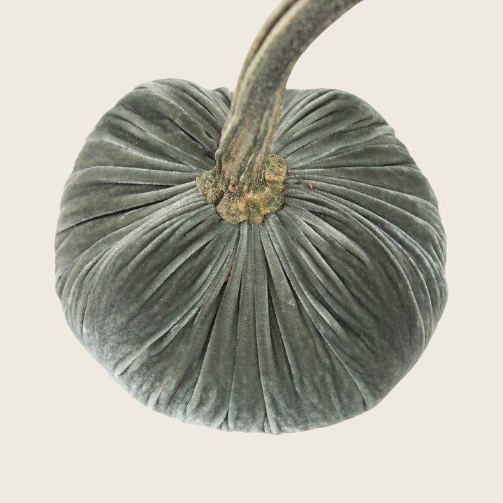 Silk Velvet Pumpkin