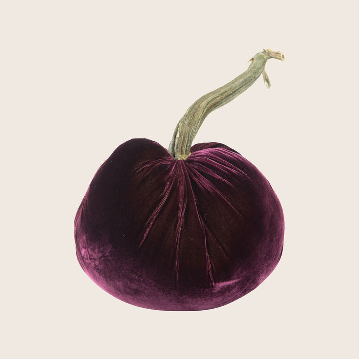 Image for Silk Velvet Pumpkin
