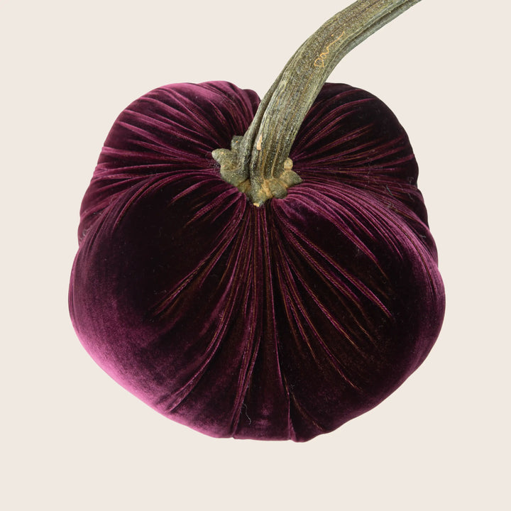 Image for Silk Velvet Pumpkin