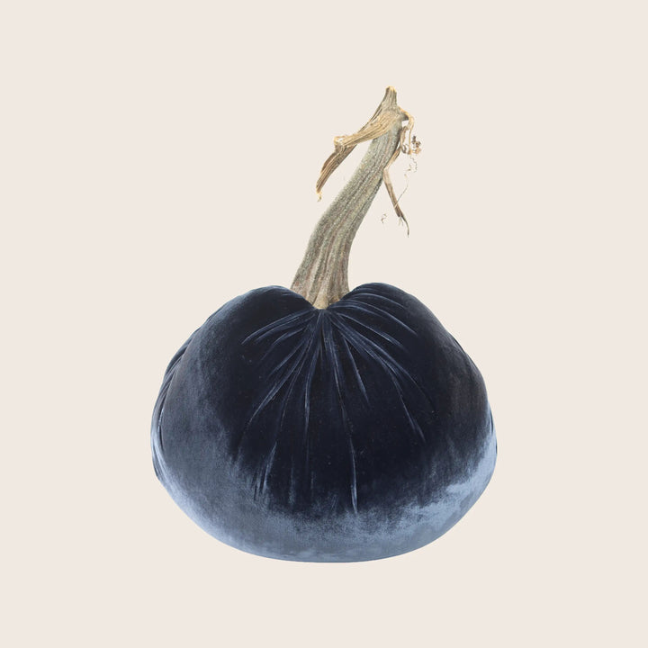 Image for Silk Velvet Pumpkin