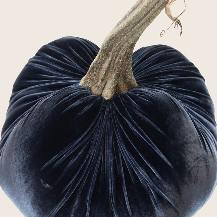 Image for Silk Velvet Pumpkin