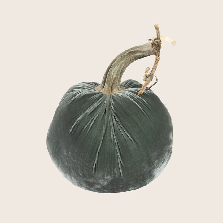 Image for Silk Velvet Pumpkin