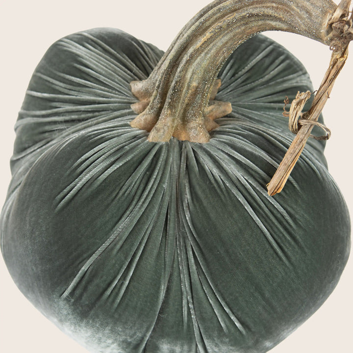 Image for Silk Velvet Pumpkin