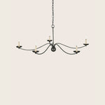 Image for Franz Chandelier