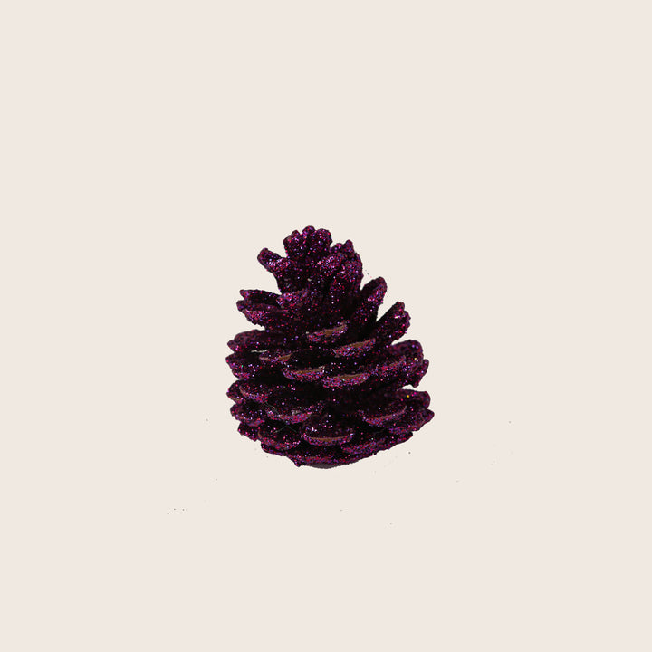 Image for Assorted Pinecones