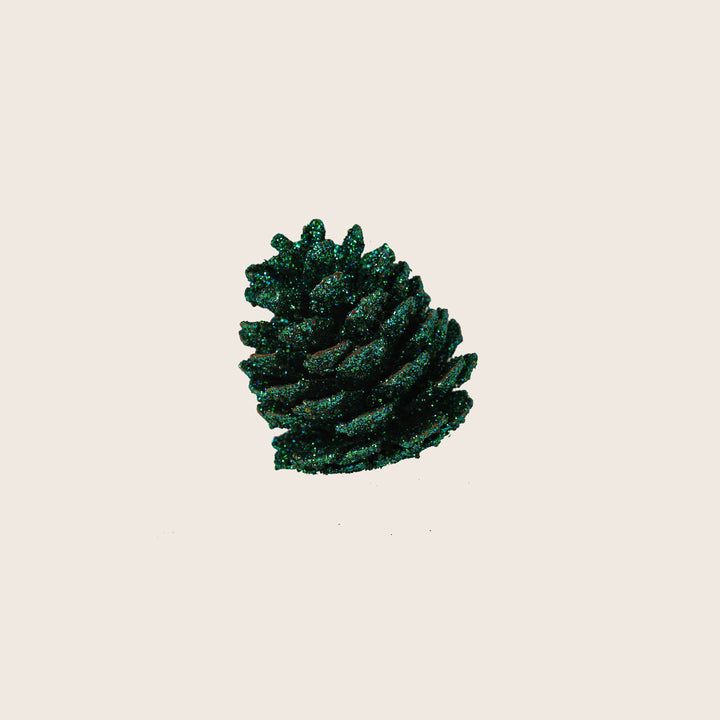 Image for Assorted Pinecones