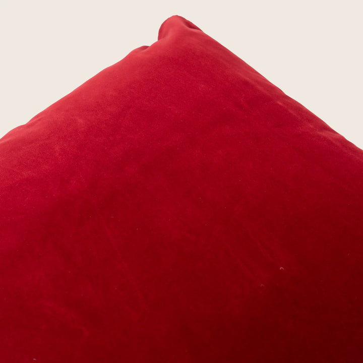 Palazzo Velvet Pillow