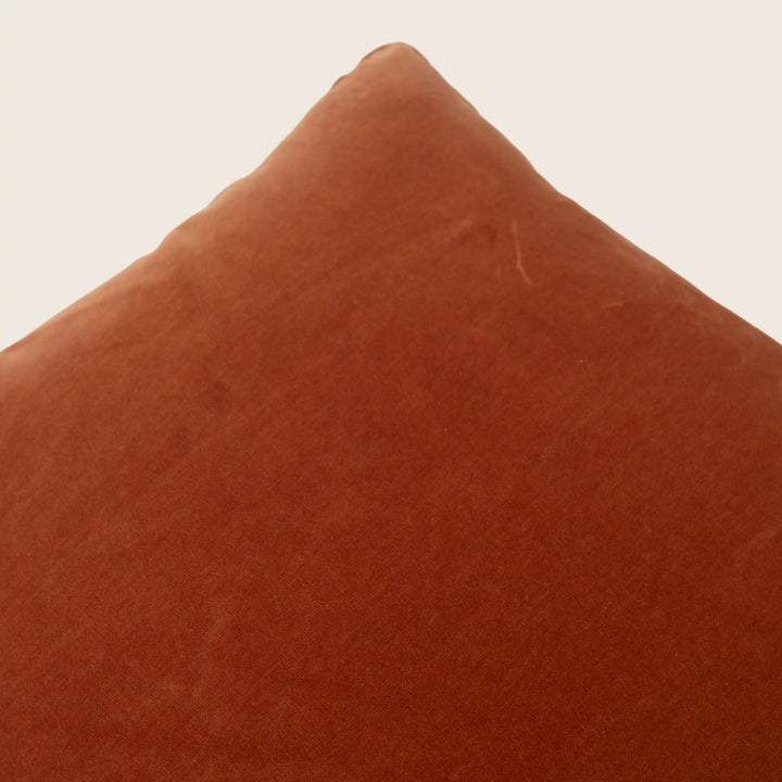 Palazzo Velvet Pillow