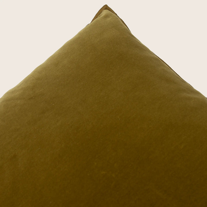 Palazzo Velvet Pillow