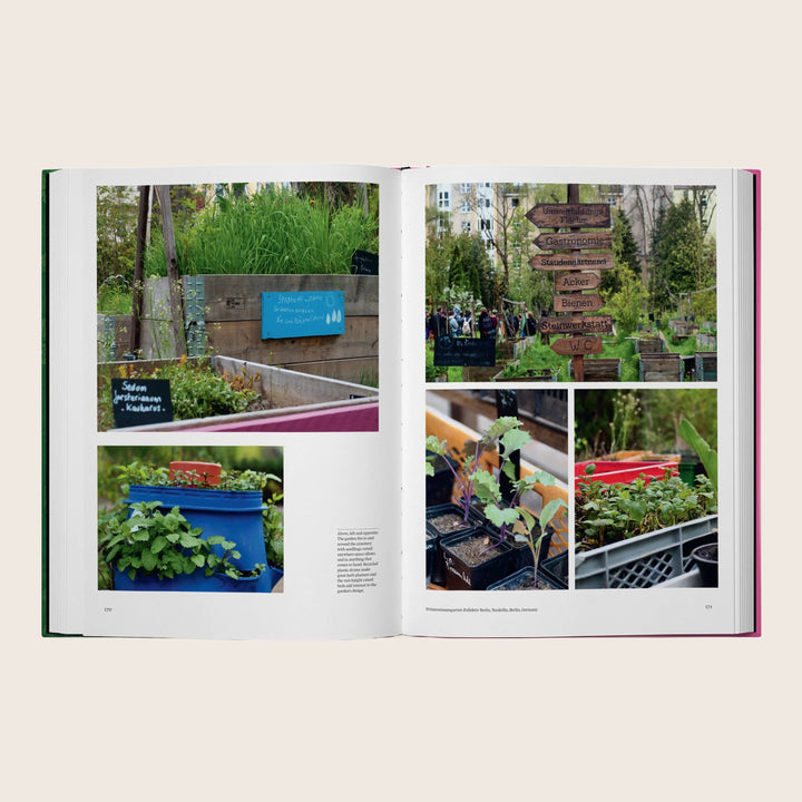 Image for The Kitchen Garden