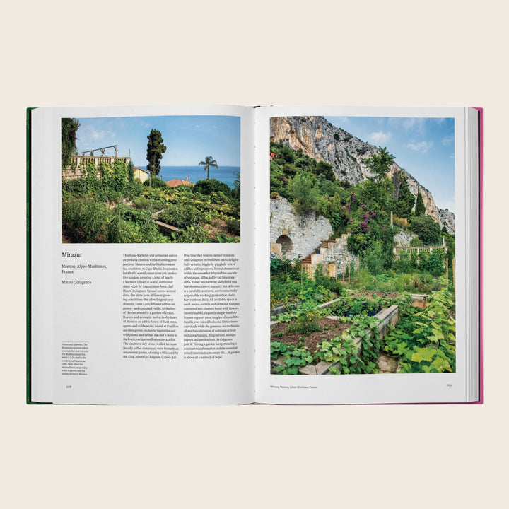 Image for The Kitchen Garden