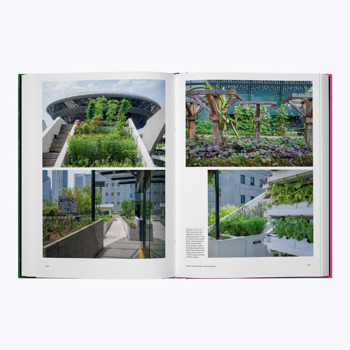 Image for The Kitchen Garden