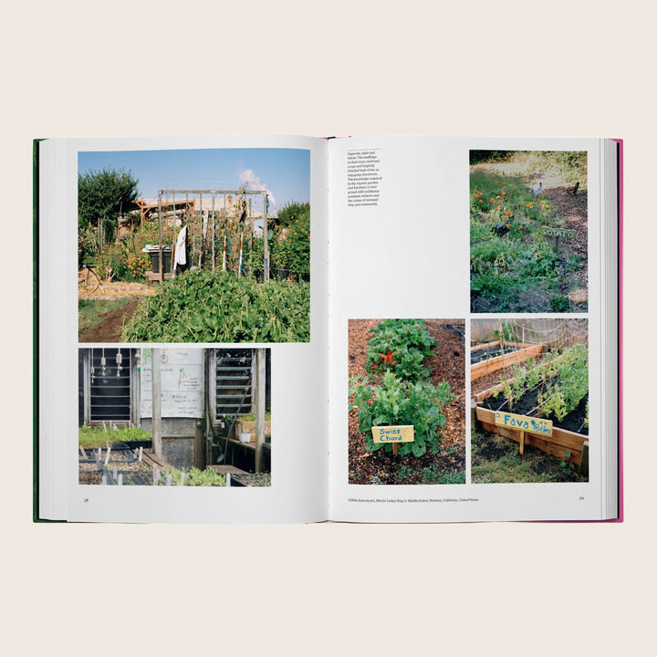 Image for The Kitchen Garden