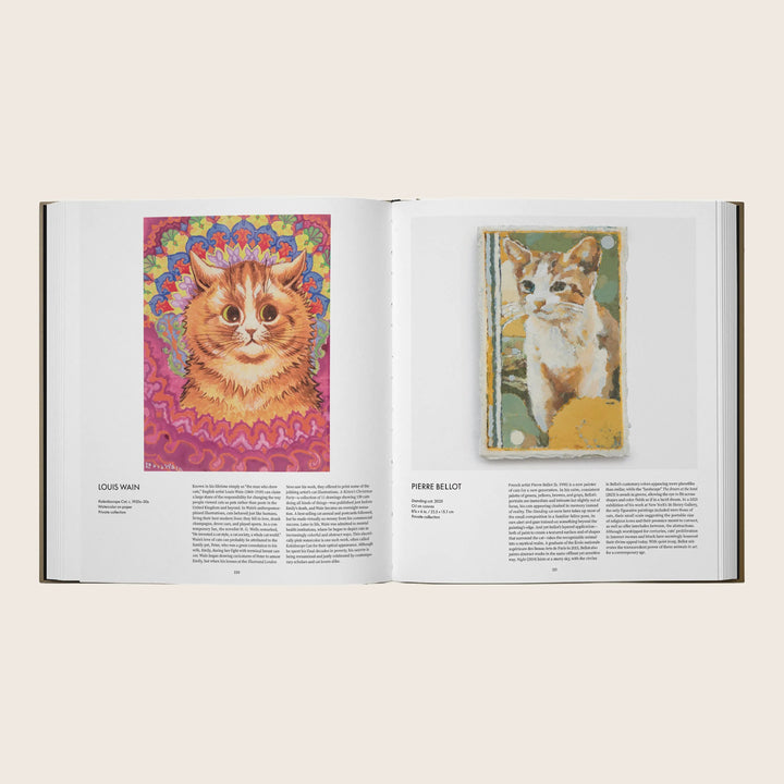 Image for Cat