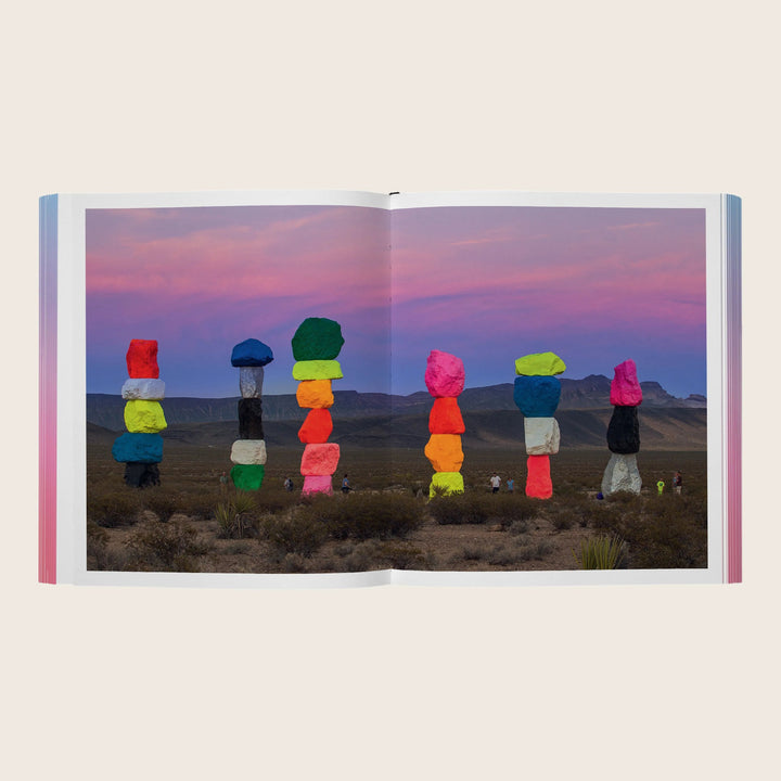 Image for Rainbow Dreams: Color and Light in Contemporary Art