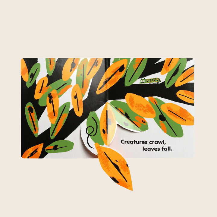 Image for Autumn Pops Up!