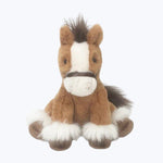 Image for Truffles the Horse