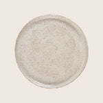 Speckled Stoneware Dinner Plate