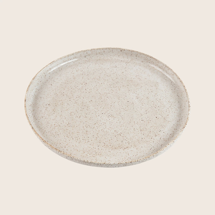 Speckled Stoneware Dinner Plate