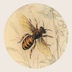 Image for Honey Bee (facing right) Round Plate