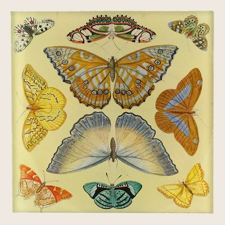 Image for Butterfly Collection Square Spoon Rest