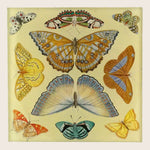 Image for Butterfly Collection Square Spoon Rest
