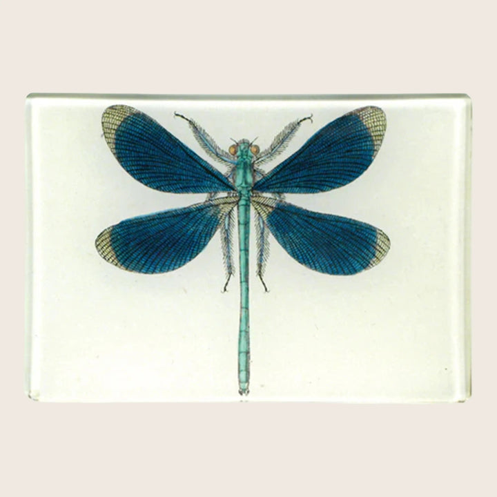 Image for Dragonfly Pin-Up Tiny Rectangle Tray