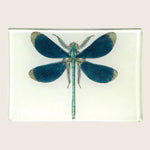 Image for Dragonfly Pin-Up Tiny Rectangle Tray
