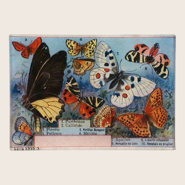 Image for Parthenos Callithee Tiny Tray