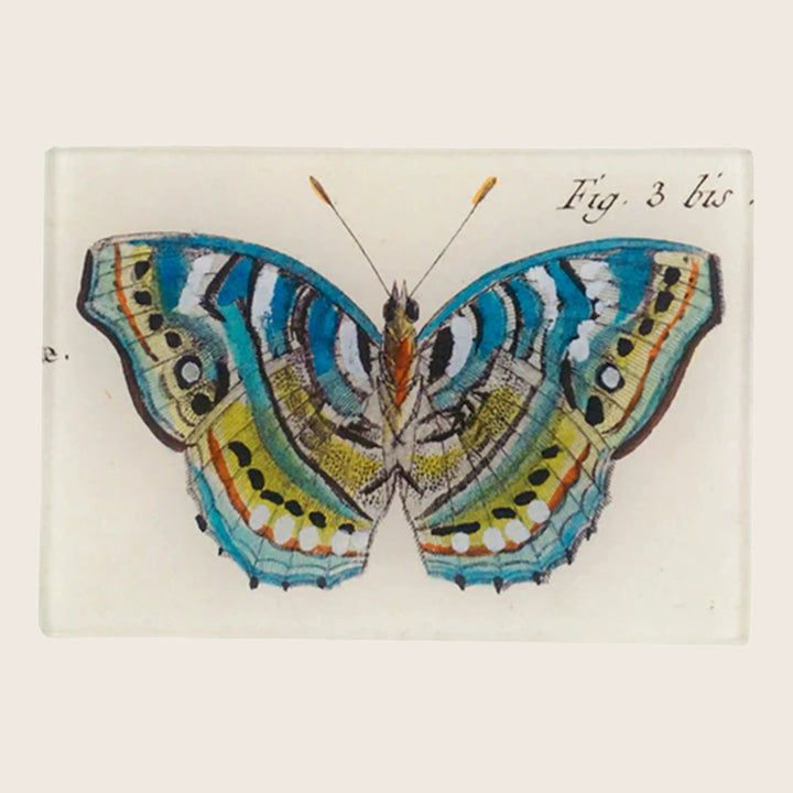 Image for Blue Green Butterfly Fig. 3 Tiny  Tray