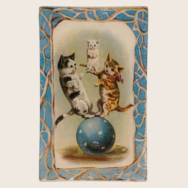 Image for Amazing Cats Rectangle Tray
