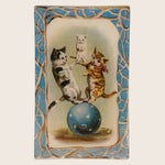 Image for Amazing Cats Rectangle Tray