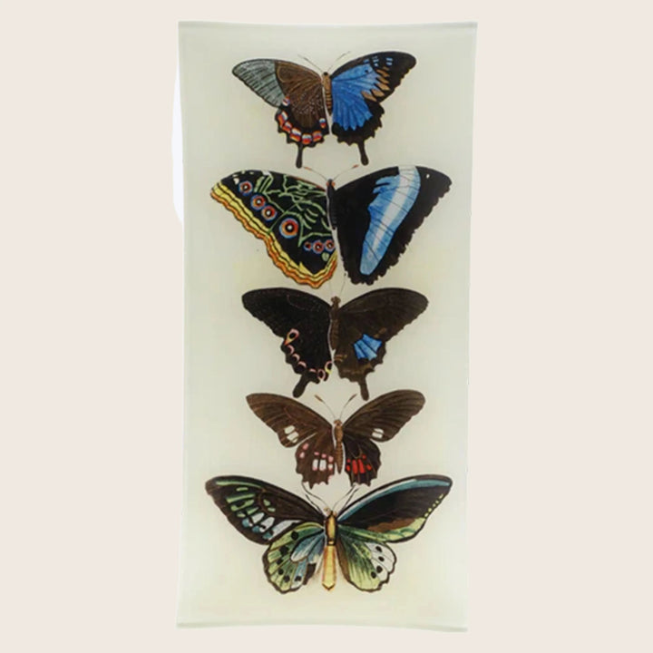 Image for Five Winged Pencil Tray