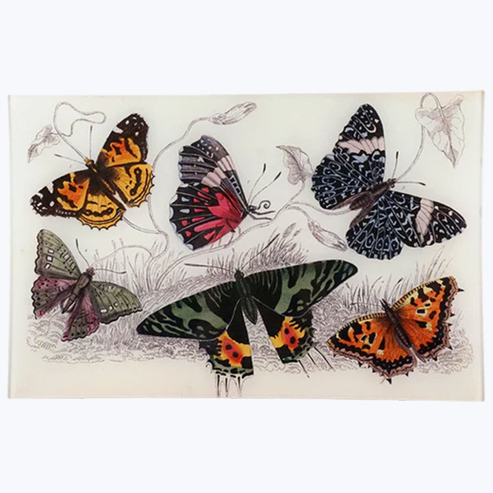 Image for Butterflies XL Letter Tray