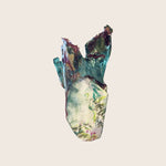 Image for Illustrative  Vessel