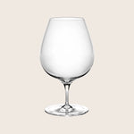 Inku Transparent White Wine Glass