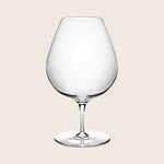 Inku Transparent Red Wine Glass