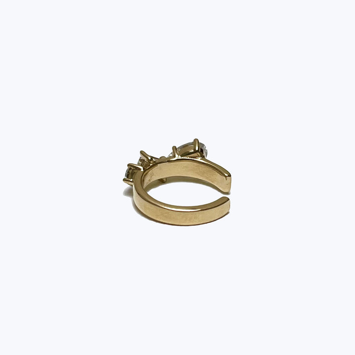 Image for Stem Ear Cuff