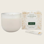 Image for Grande 3-Wick Alabaster Candle, Forest Fir