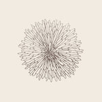 Image for Pressed Bloom Placemat, Gunmetal