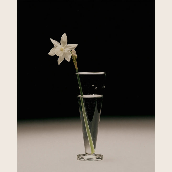 Image for Milano Aperitivo Glass