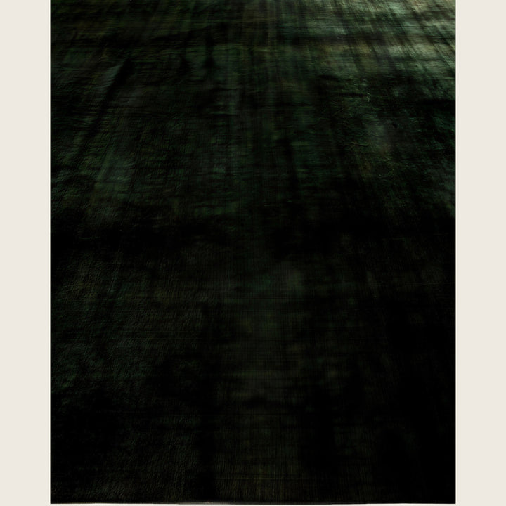 Black Traditional Samsara Wool Rug - 10'4" x 13'9"