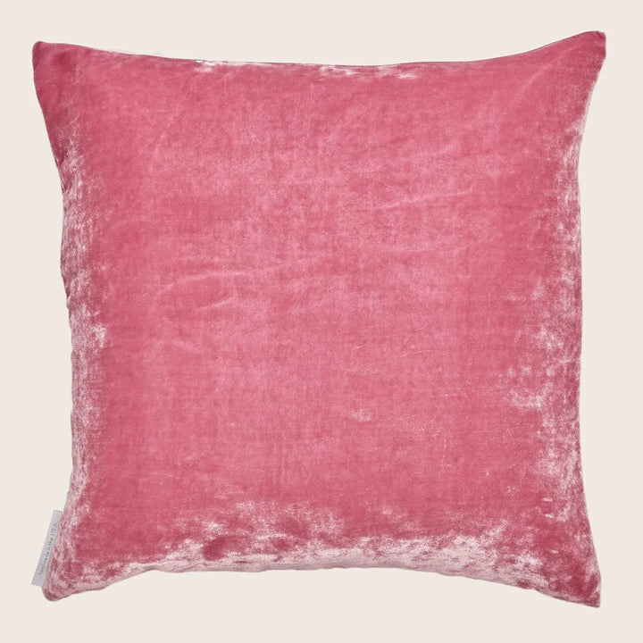 Velvet Pillow Orchid