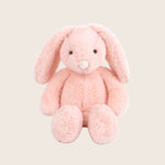 Image for Apricot Bunny