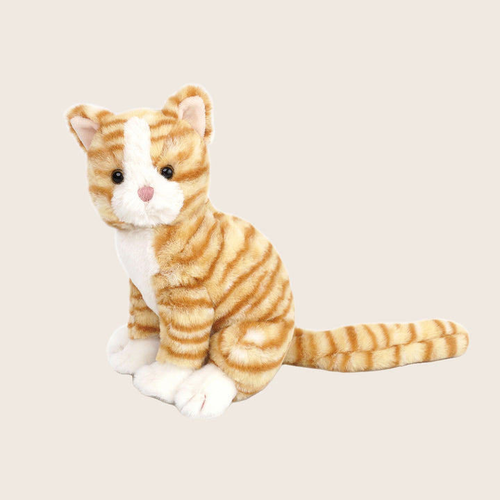 Image for Chichi Kitty