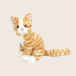 Image for Chichi Kitty