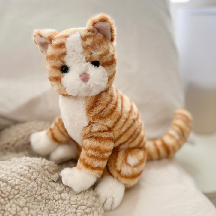 Image for Chichi Kitty